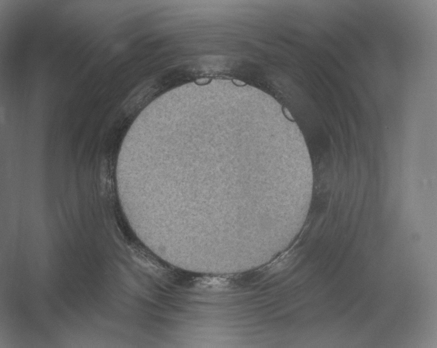 X0000055250140200509071625.png