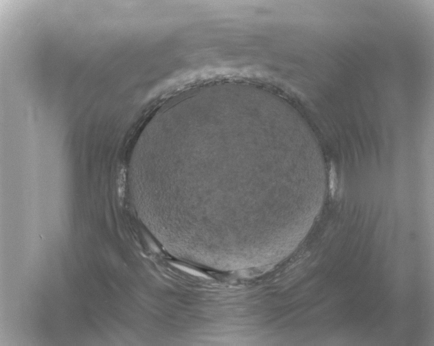 X0000054351492200508190114.png