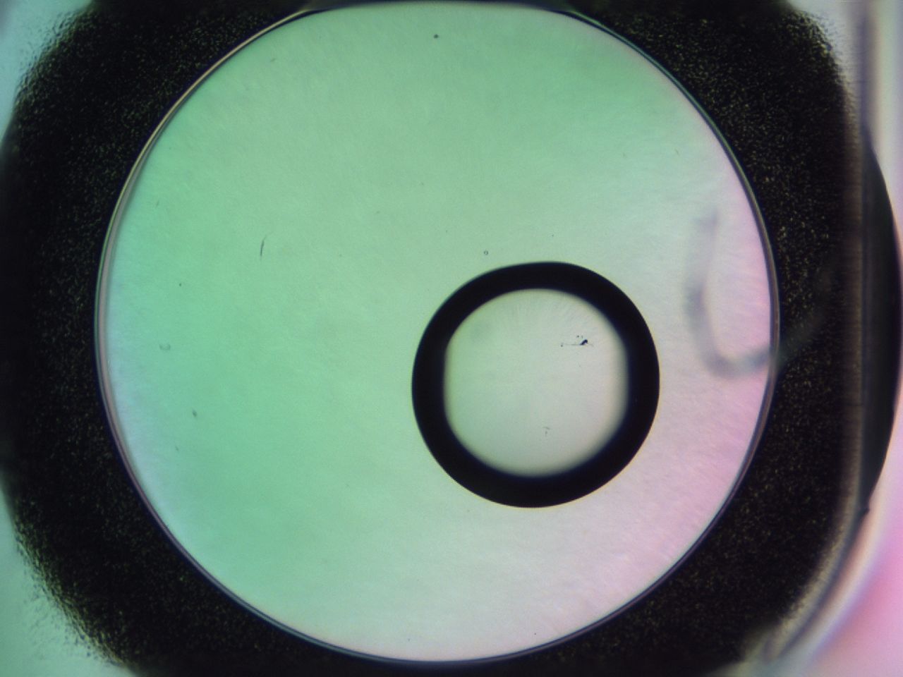 01gh_C4_ImagerDefaults_0.jpg