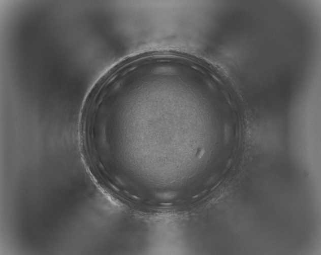 X0000052280894200507132025.png