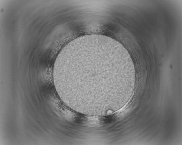 X0000054580144200508300110.png