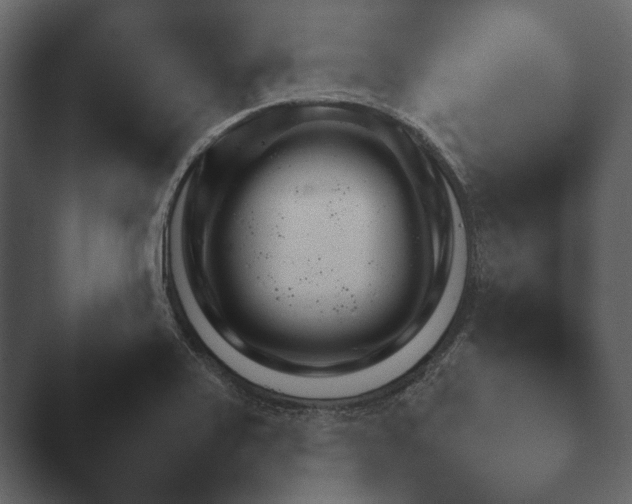 X0000047501371200503161502.png