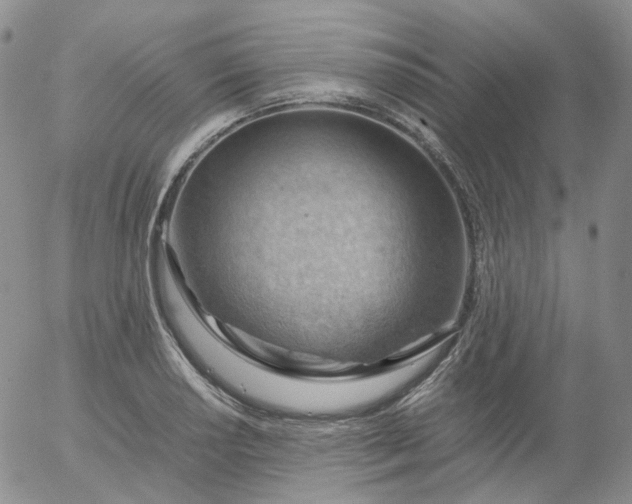 X0000054651034200508091636.png