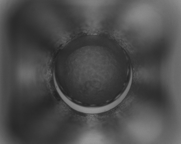 X0000047500767200503161513.png