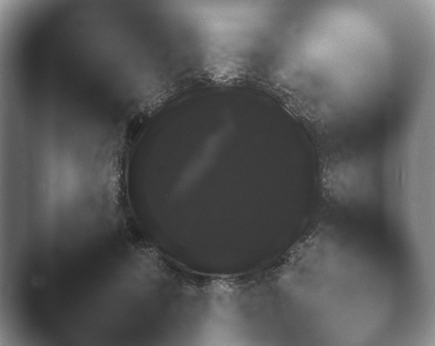 X0000045390319200501241409.png