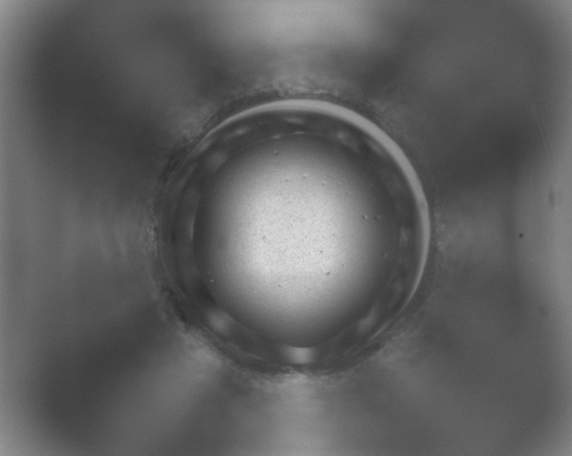X0000054110453200508022103.png