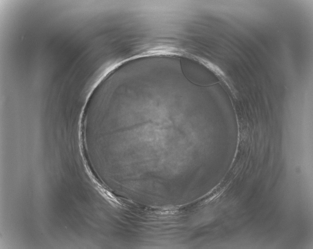 X0000054351423200508190116.png