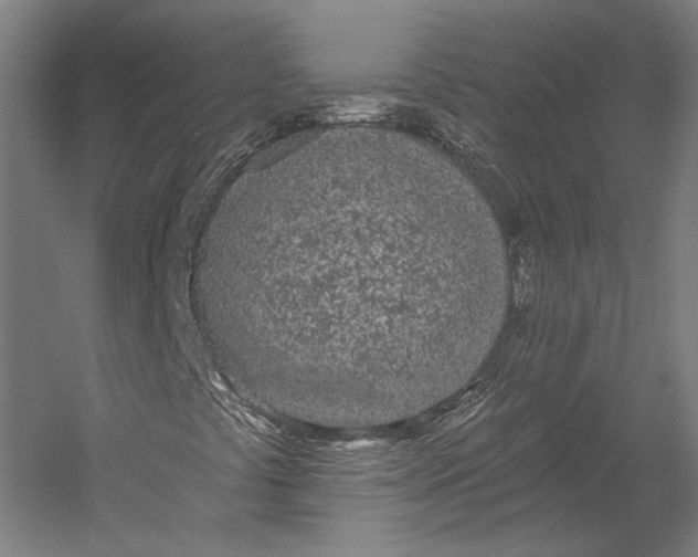 X0000055211441200508301309.png