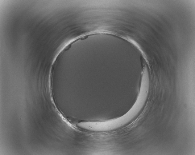 X0000054350910200508190125.png