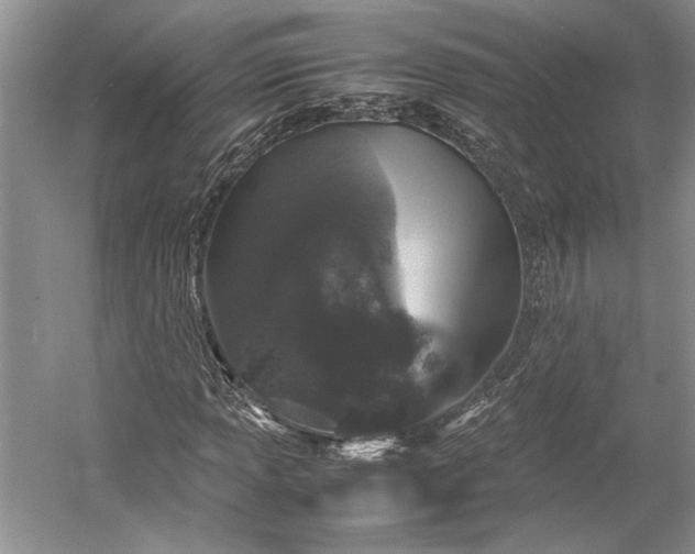 X0000055061013200508161640.png