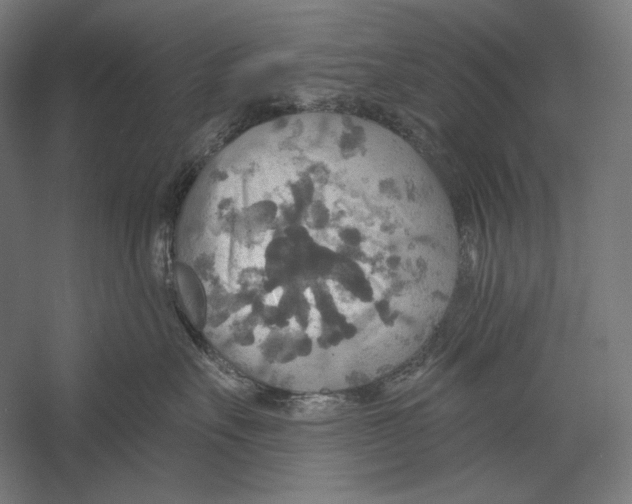X0000055250527200509071619.png