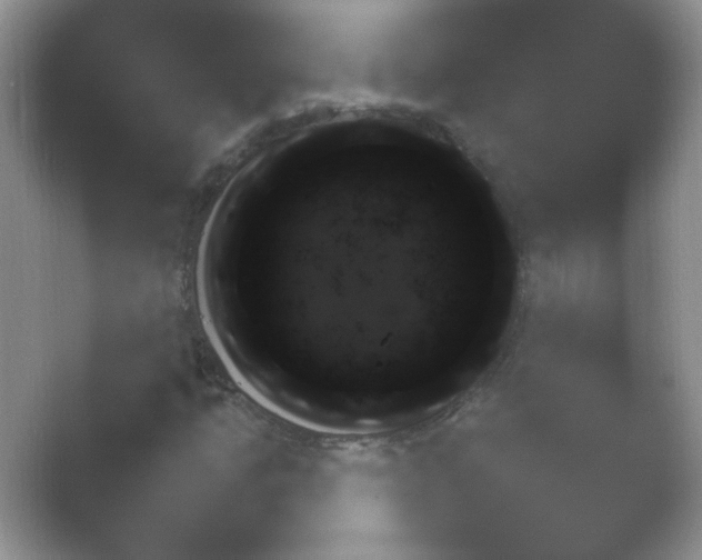 X0000054731205200508171843.png