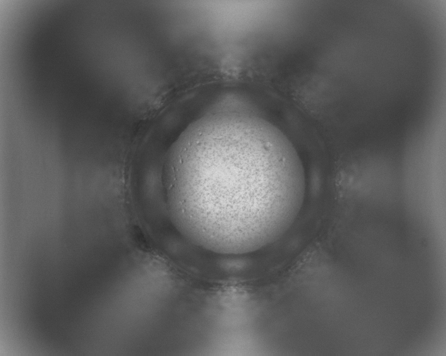 X0000054110656200508022100.png