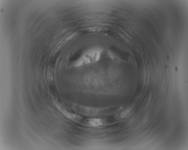 X0000054170091200508101811.png