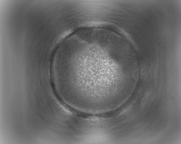 X0000054300633200508042311.png