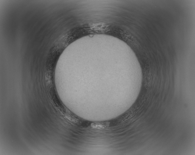 X0000055250706200509071615.png