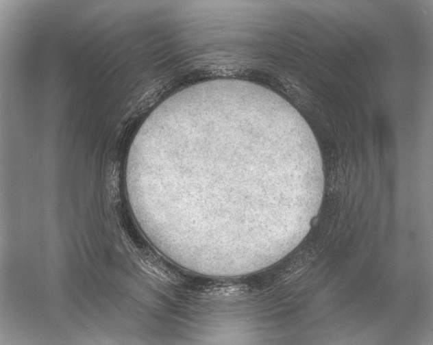 X0000054270646200508261917.png