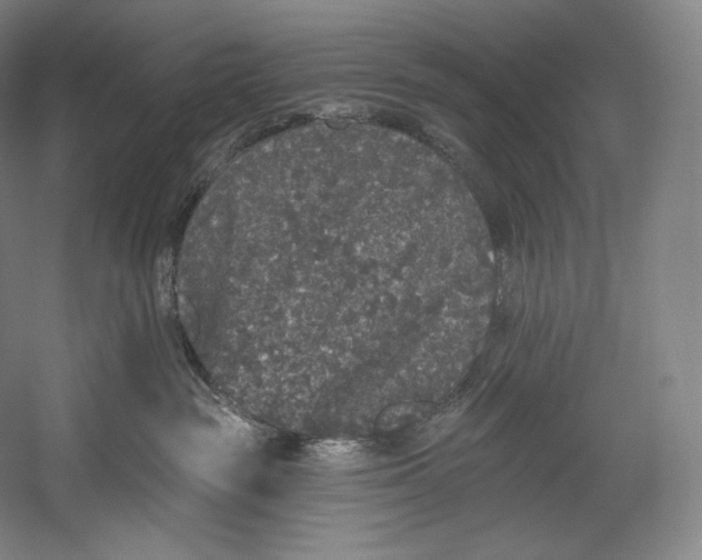 X0000055210189200508301331.png