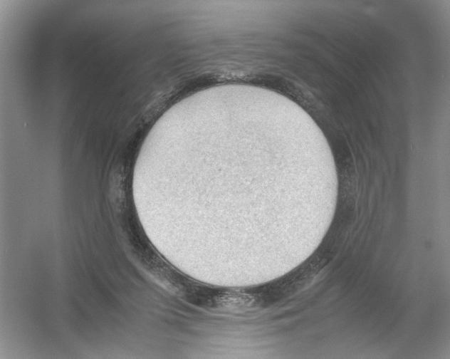 X0000054270215200508261924.png