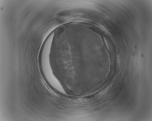 X0000054170891200508101757.png