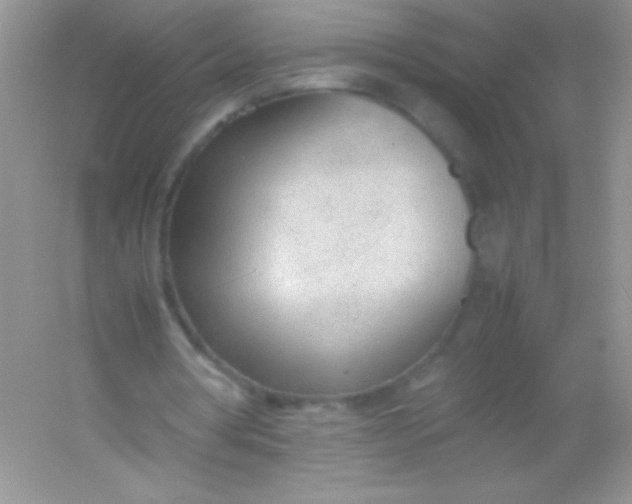X0000054330386200508111925.png