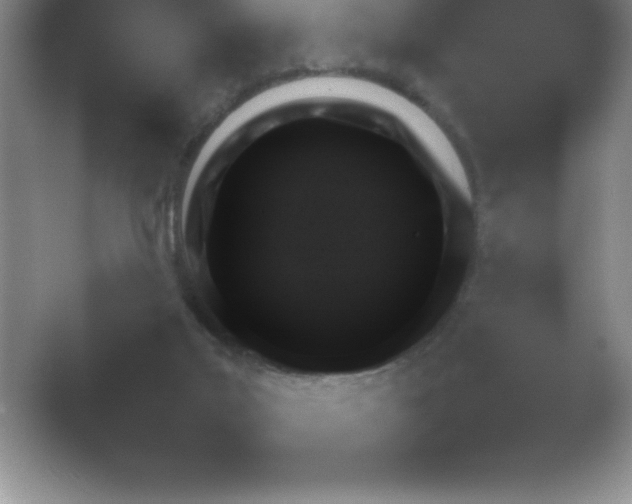 X0000054730019200508171904.png