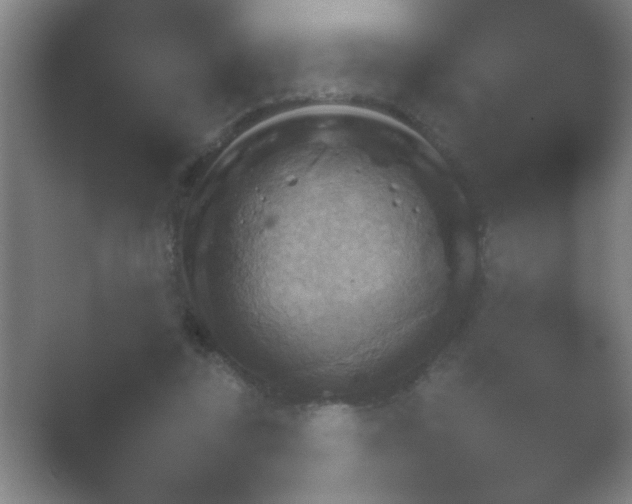 X0000054110355200508022105.png