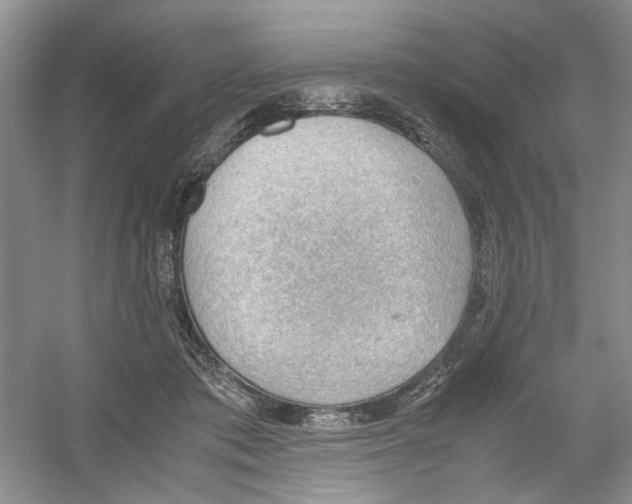 X0000054270413200508261921.png