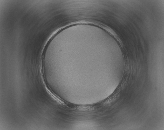 X0000055250958200509071612.png