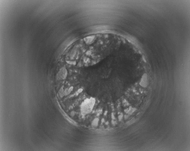 X0000053461289200508112147.png