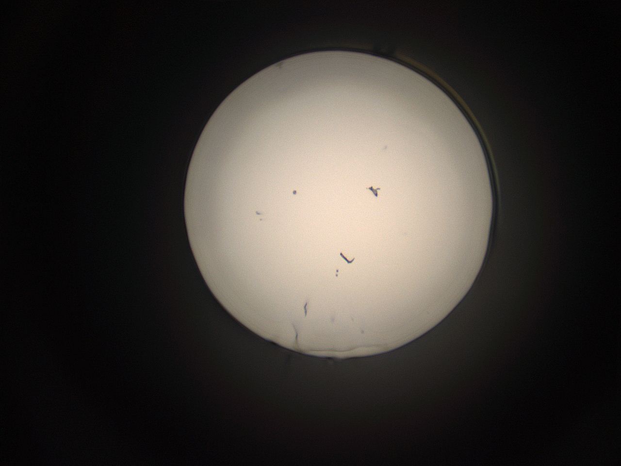 05do_P12_ImagerDefaults_1.jpg