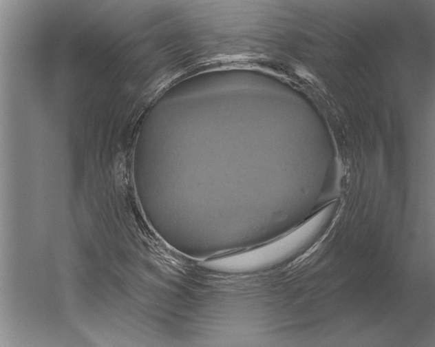 X0000055251353200509071604.png