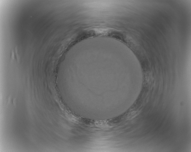 X0000054351249200508190119.png