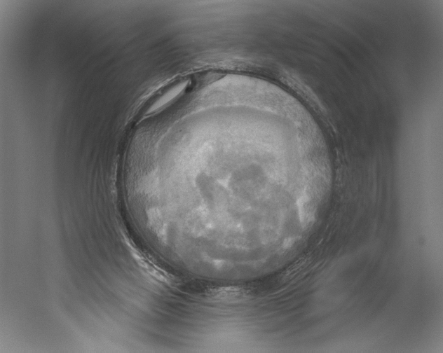 X0000055250058200509071626.png