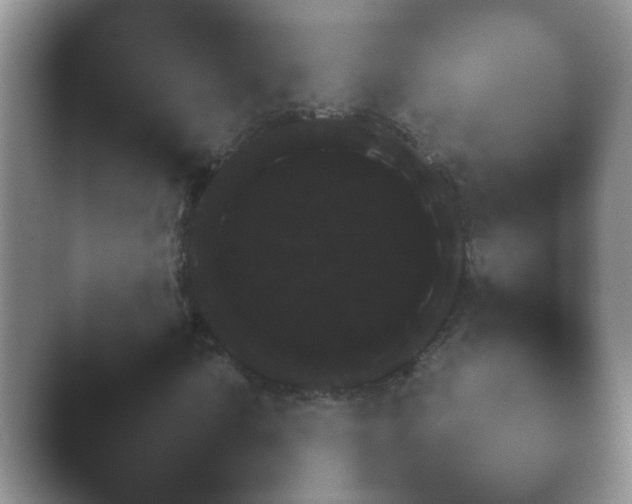 X0000040661010200411092005.png