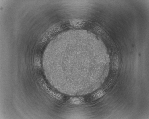 X0000054580706200508300101.png