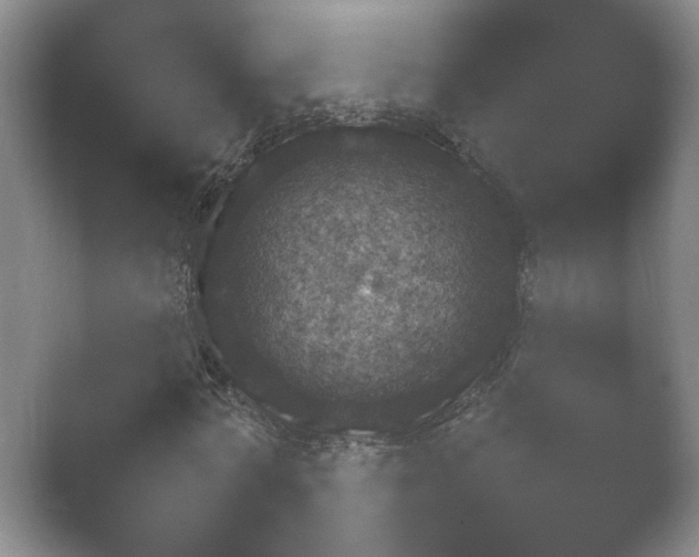 X0000052150772200507051950.png