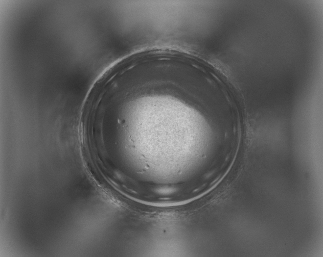 X0000052281028200507132023.png