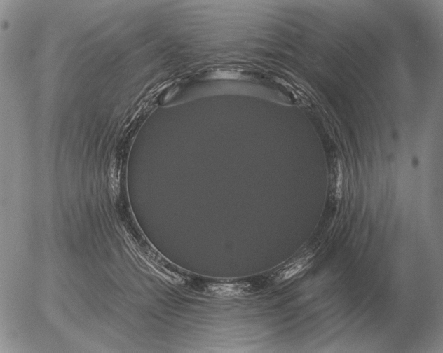 X0000054170558200508101802.png