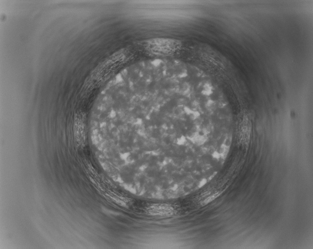 X0000054580749200508300100.png