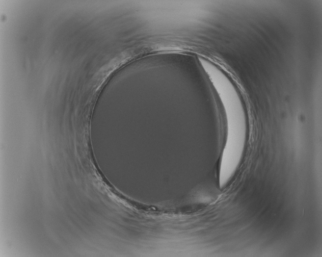 X0000054170385200508101805.png
