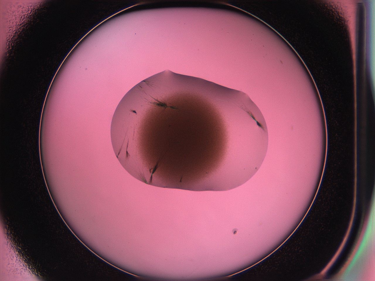 05dp_D1_ImagerDefaults_7.jpg