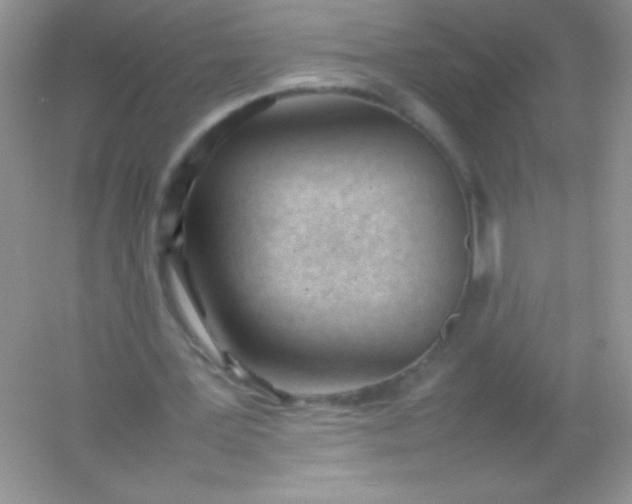 X0000054330387200508111925.png