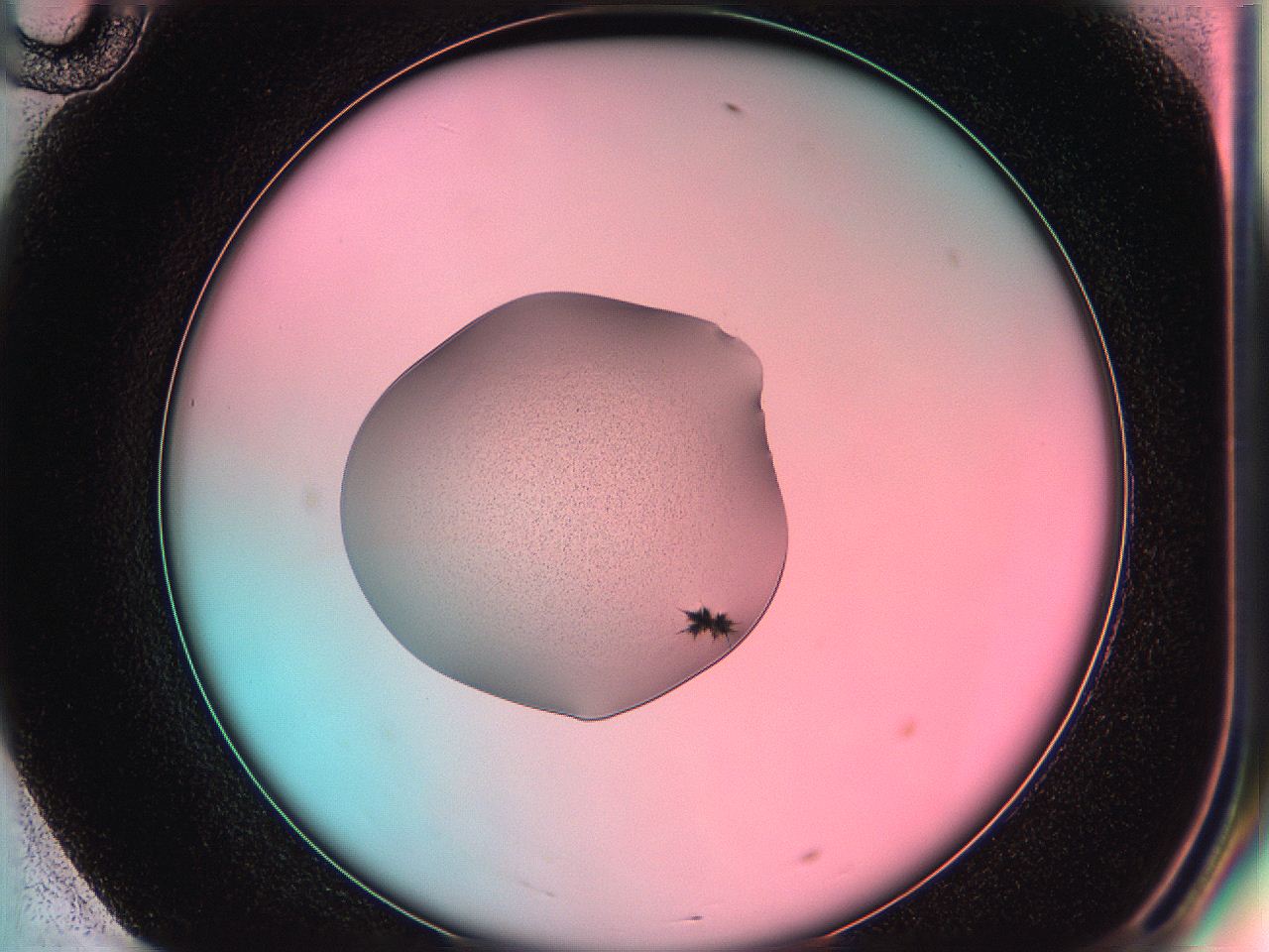05dp_F10_ImagerDefaults_7.jpg