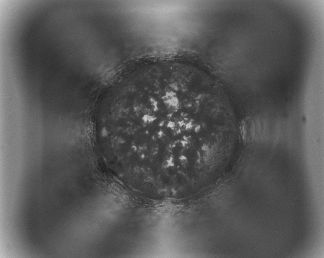 X0000038681059200409281316.png