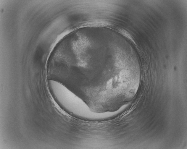 X0000054171087200508101753.png