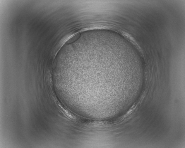 X0000054271177200508261908.png