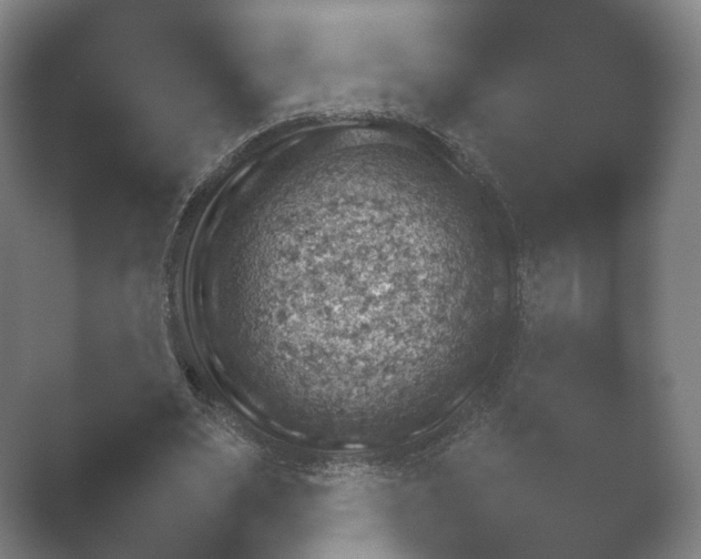 X0000052280487200507132032.png