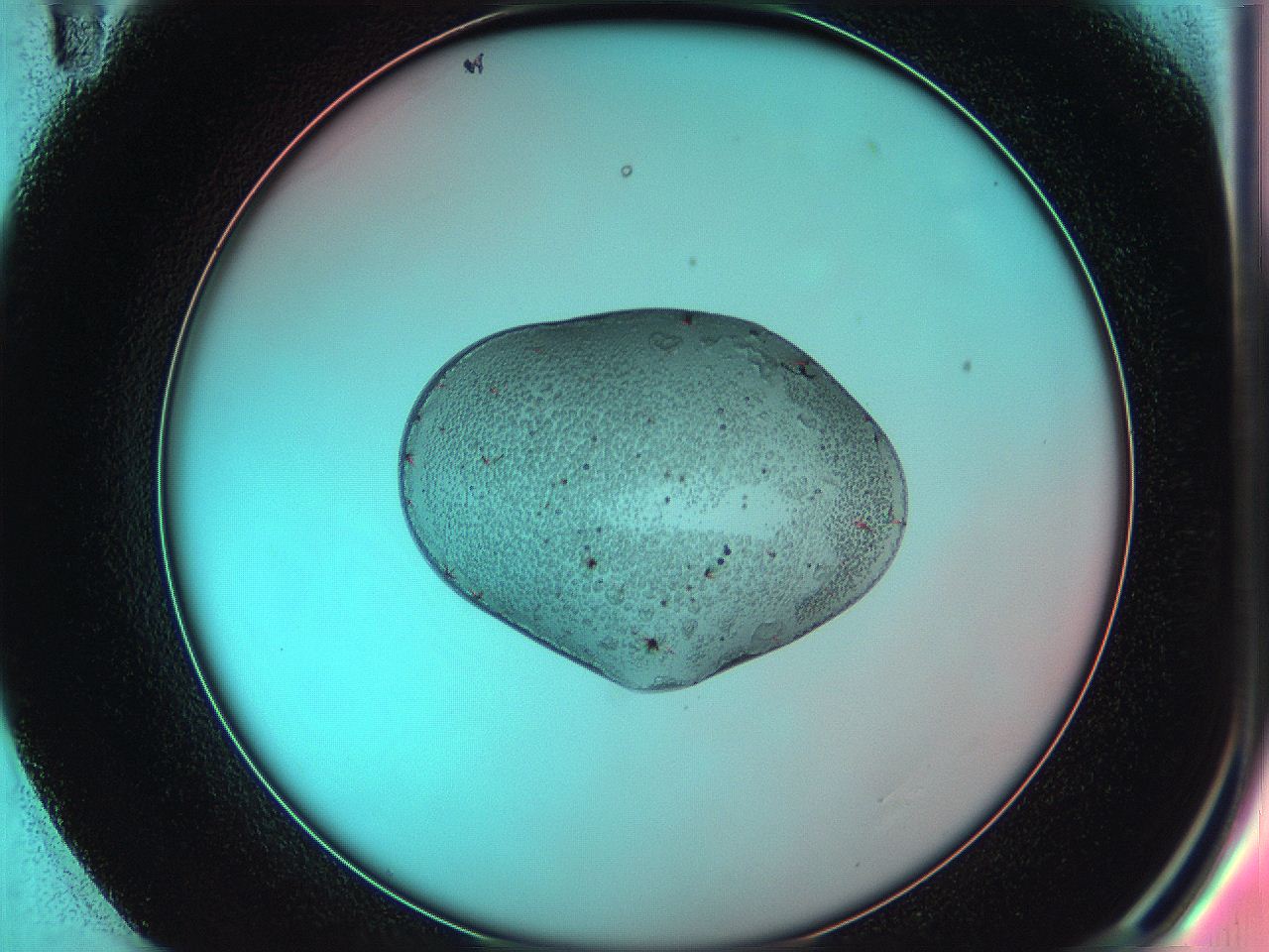 05dp_E11_ImagerDefaults_6.jpg