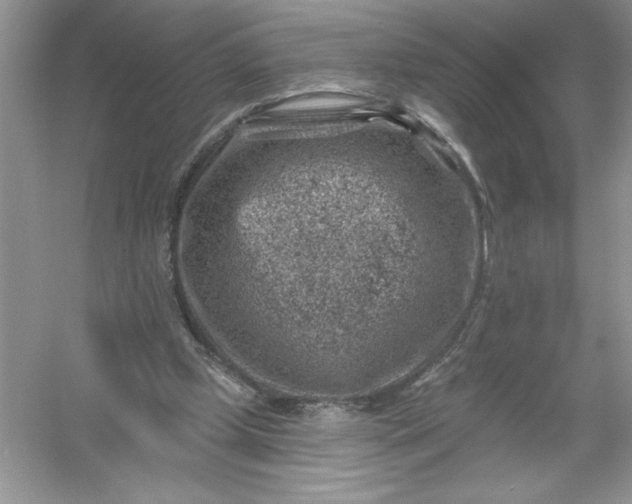 X0000054300249200508042317.png
